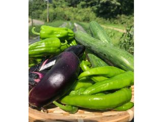 丹波篠山ひなたファームの写真1