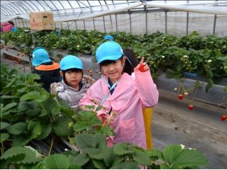 岡?農園の写真1