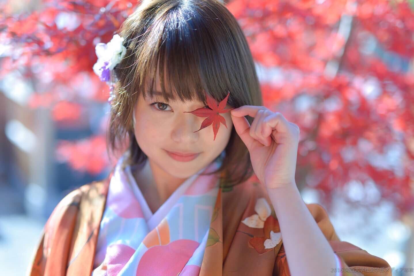 藤・嵐山の写真1