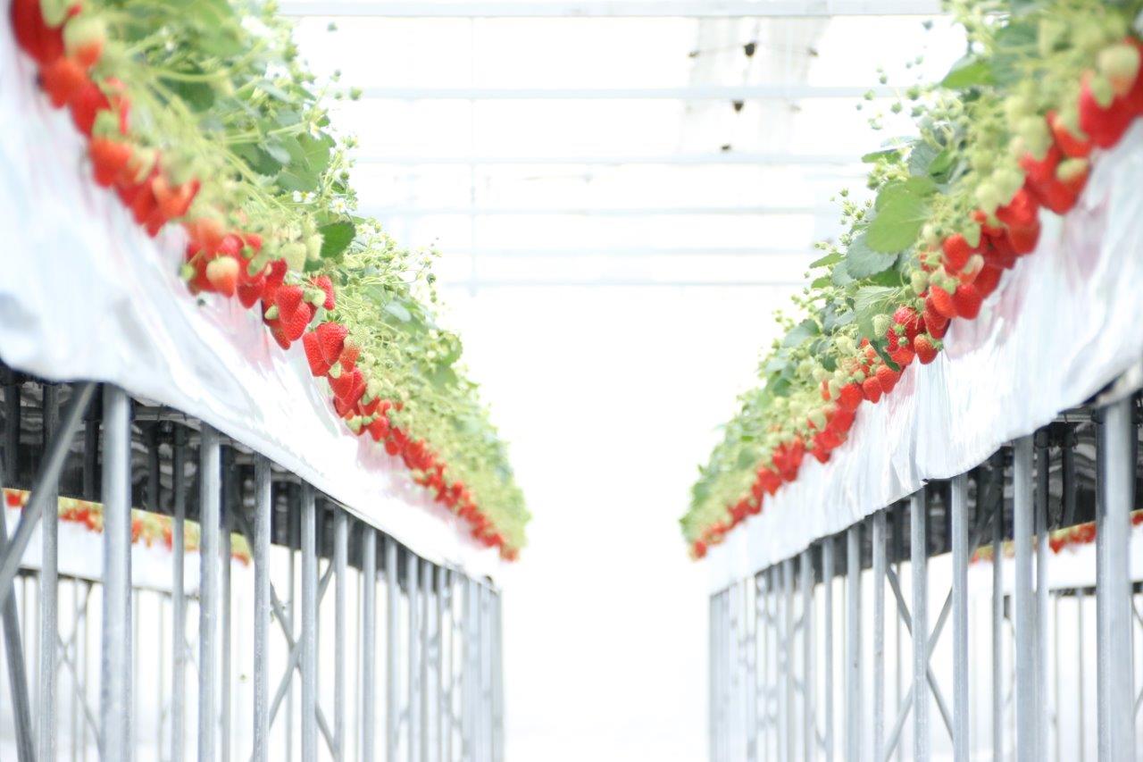 ナチュラ日野の写真1