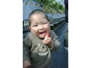 河野園芸の写真1