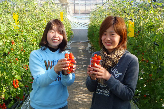 かしも花市場の写真1