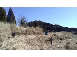 郷の元気の写真1