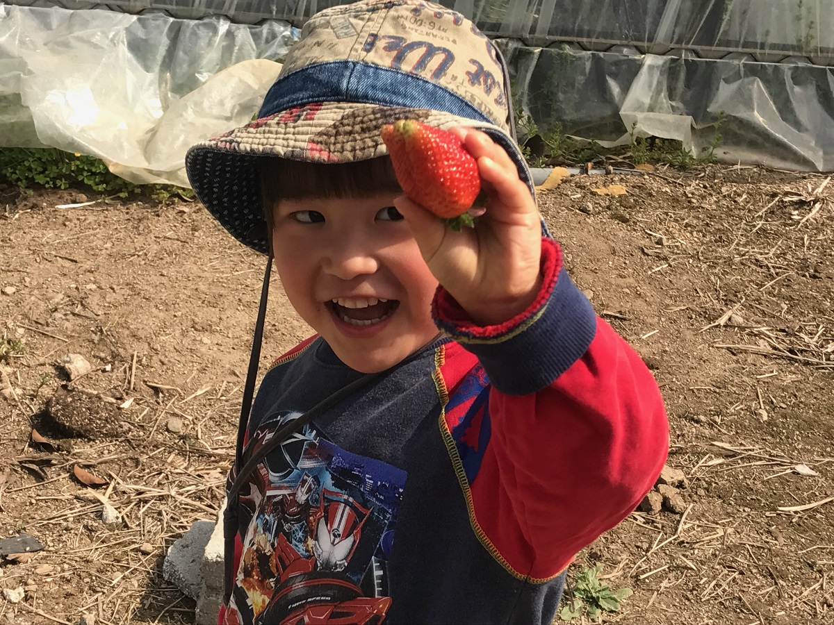 アグリライフ九州の写真1