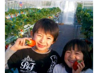 岩村苺農園の写真1