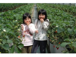 はな阿蘇美観光いちご園の写真1