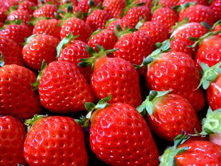 日隈いちご園の写真1