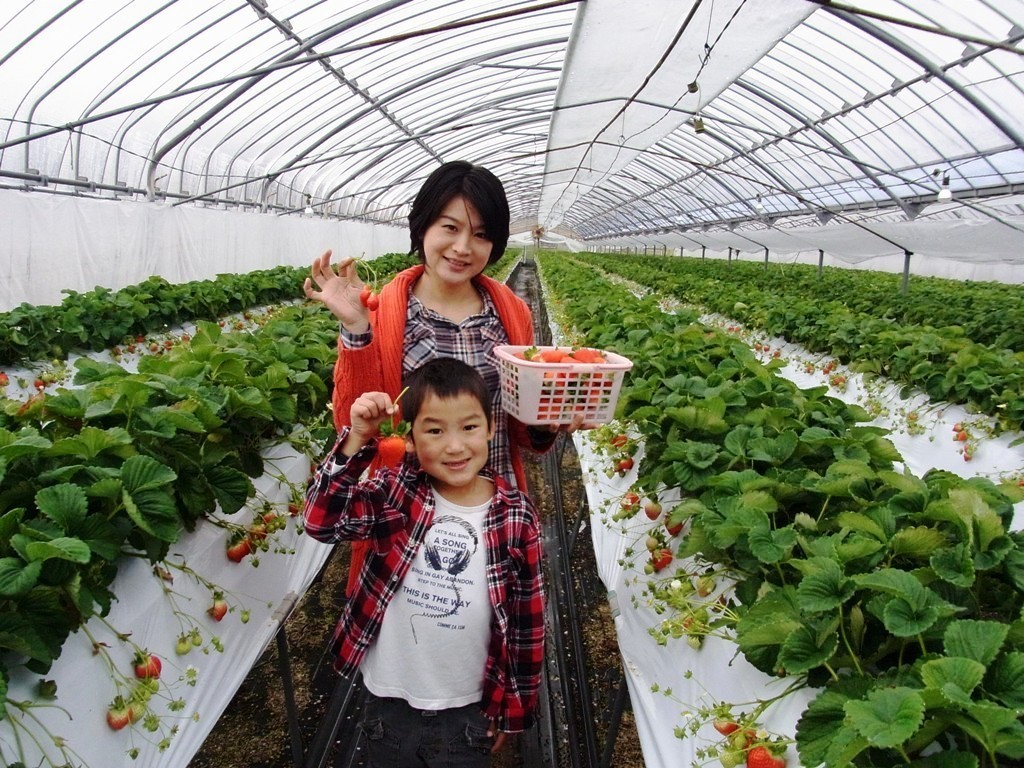 ひがし農園の写真1