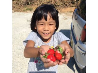 カンナいちご園の写真1