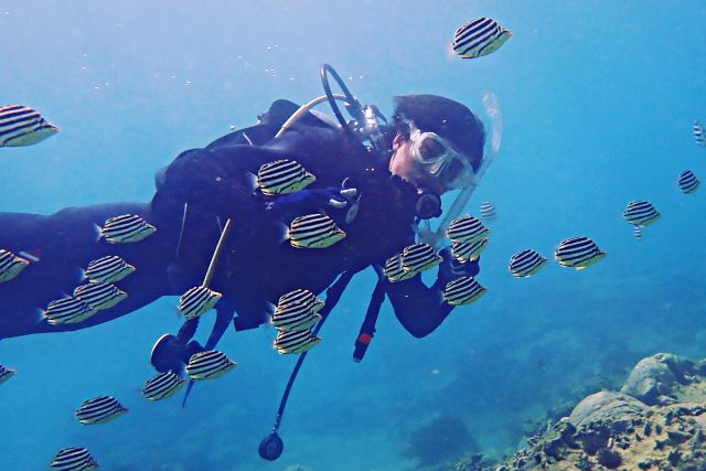 E.B.ダイバーズの写真1