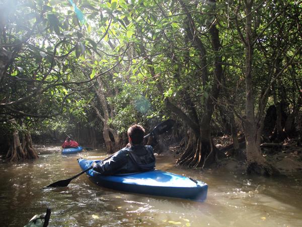 ダイビング&カヌー 珊瑚茶屋の写真1