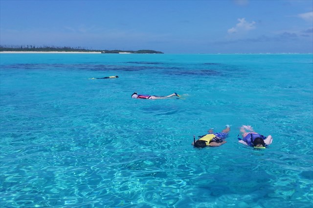 タンディーマリンの写真1