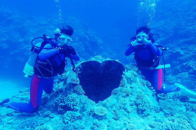 Diver's House 竹内潜水堂の写真1