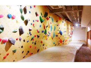 クライミングジム Fish and Bird 二子玉川の写真1