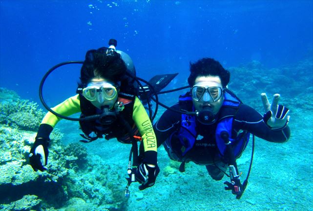 Diving School 海講座の写真1