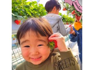 Angelina berrys farmの写真1