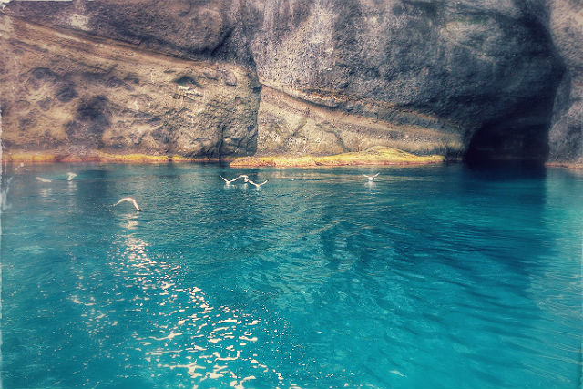 小樽観光フェニックスの写真1