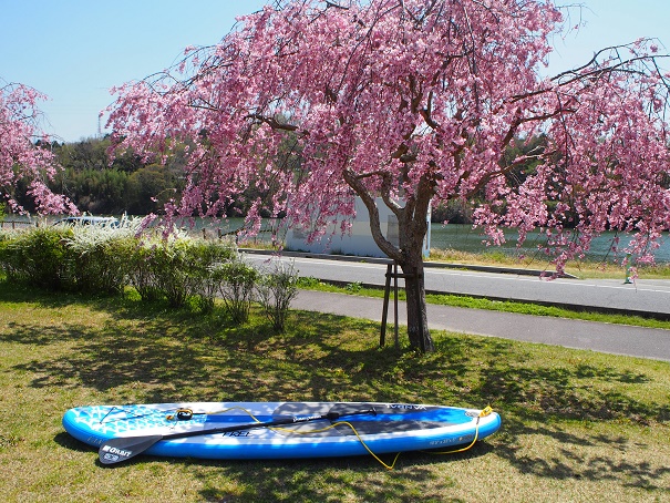 豊田水源SUP倶楽部の写真1