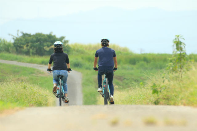 木更津市観光協会の写真1