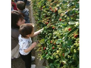 もんぜんの写真1