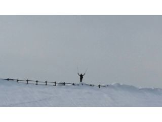 遊山化計画ゴローの写真1