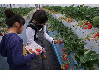 BERRYHOUSEの写真1