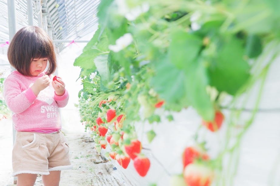 なかはた農園の写真1