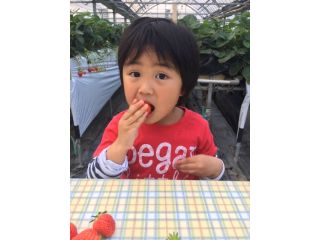 水の国のわくわく農園　いちごハウスの写真1