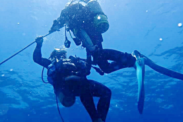 scuba diving mahaloの写真1