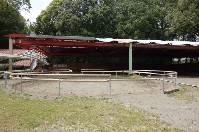 セントジョウジライディングクラブの写真1