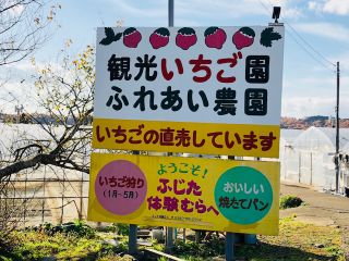 南那須観光いちご園の写真1