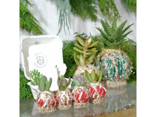 カンキチ工房の写真1