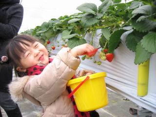 そら野テラスの写真1