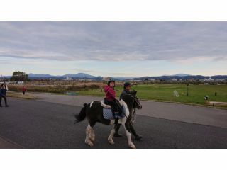 三条乗馬クラブの写真1