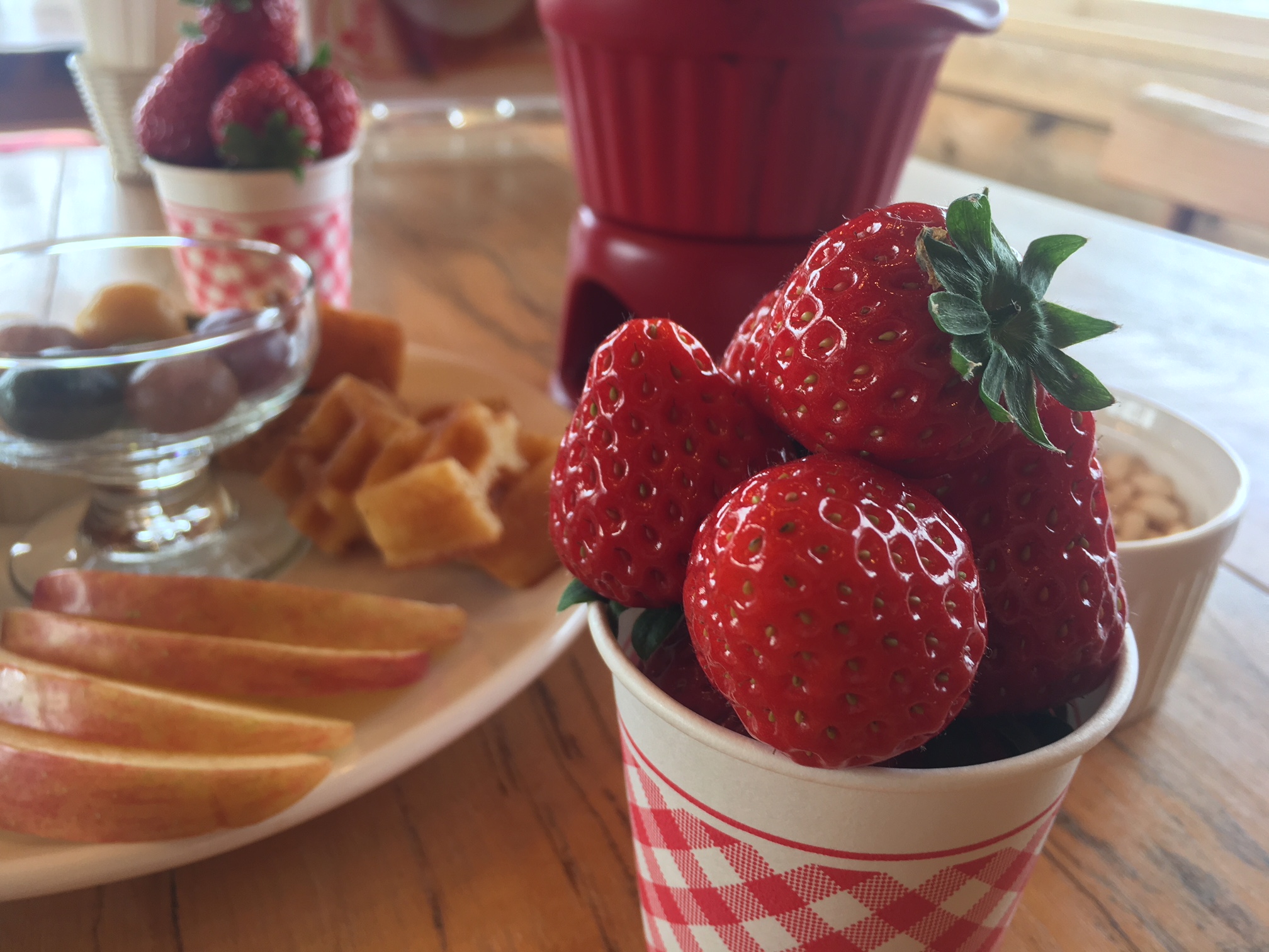 観光農園うめかのお庭の写真1