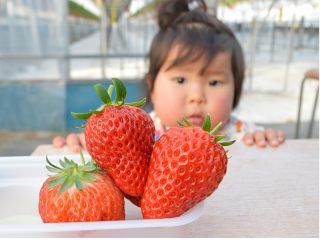 鈴木農園の写真1