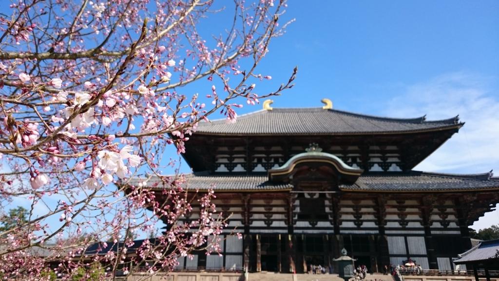 奈良観光ガイドの写真1