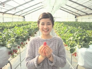 田原観光農園の写真1