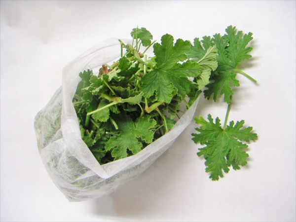 海のそばのハーブ園 ハーブガーデン・ポケットの写真1