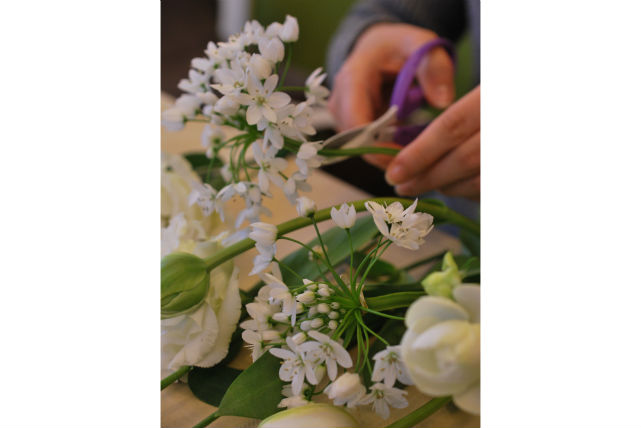 Studio ROSEの写真1