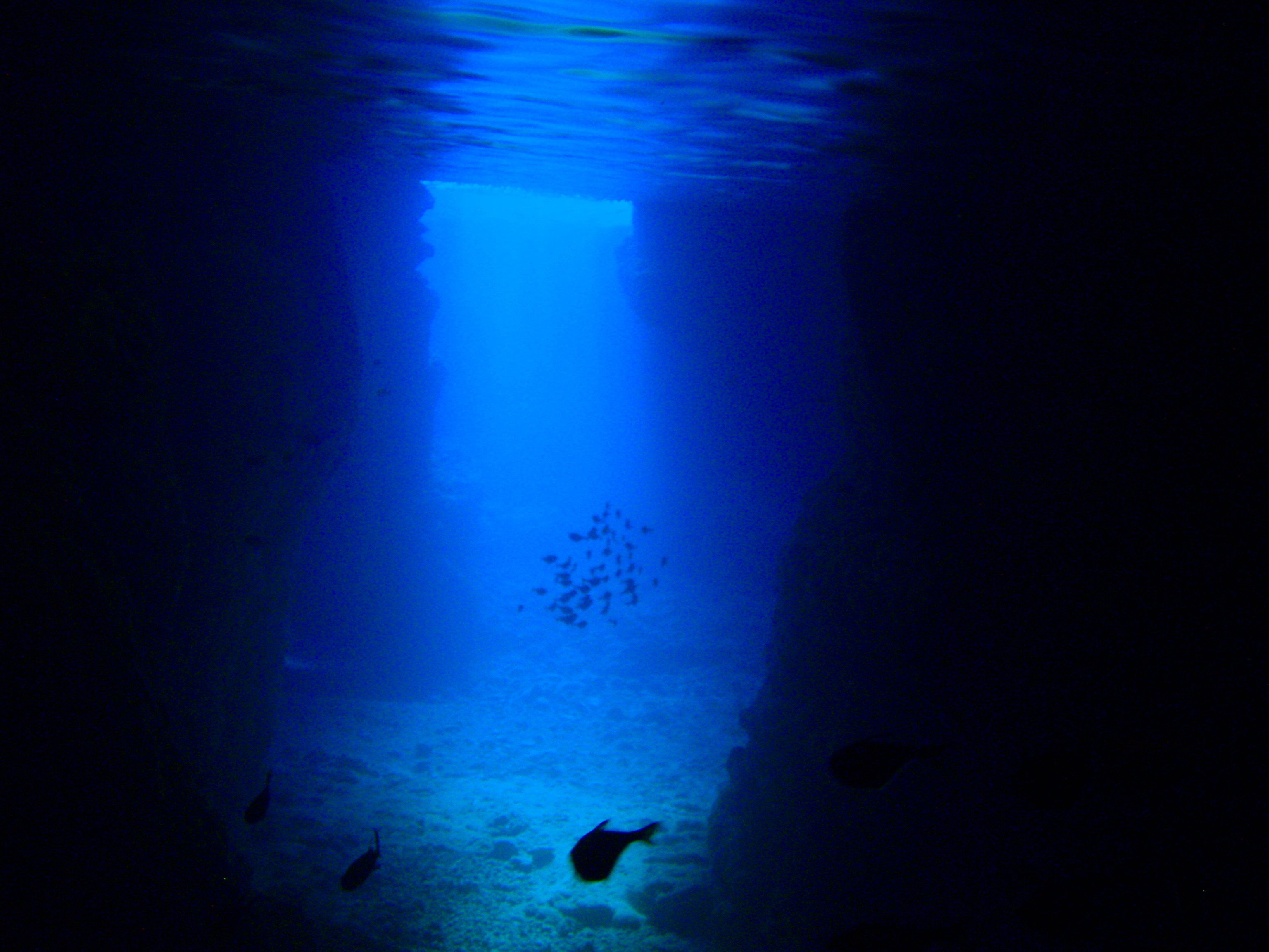 Dive Center Islesの写真1