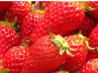 田中ストロベリーファームの写真1