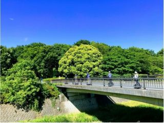 セグウェイガイドツアー国営昭和記念公園の写真1