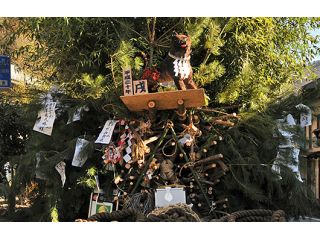 丹波山村　TABAジビエの写真1