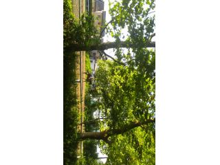 新潟乗馬クラブの写真1