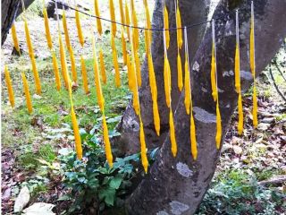 はちみつやの写真1