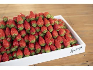 いちご観光農園JYUGOYAの写真1