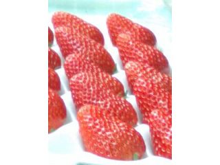 中山農園の写真1