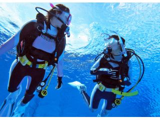 ザ・ダイブスの写真1