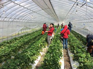 ヤマネコファームの写真1